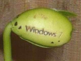 WINDOWS�̓�